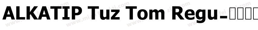 ALKATIP Tuz Tom Regu字体转换